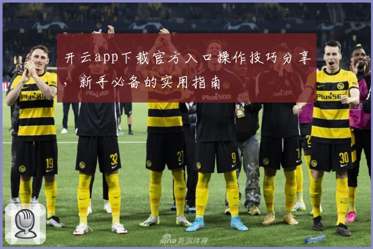 开云app下载官方入口操作技巧分享，新手必备的实用指南