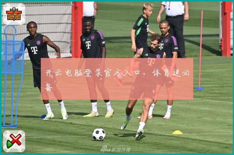 开云电脑登录官方入口，体育迷必备